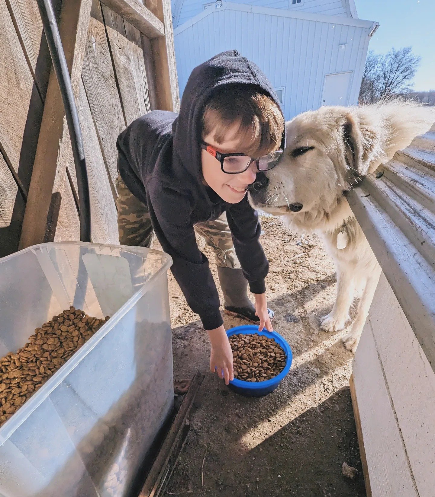 A young boy in a black hoodie fills a blue bowl with dog food from a clear container while interacting with a friendly dog. The scene is set outdoors with a rustic background and a bright sunny day, highlighting the bond between the child and his pet.